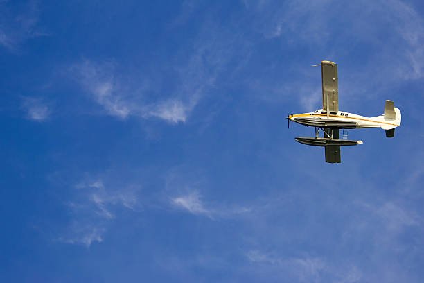 Top 10 Fixed-Wing Drones